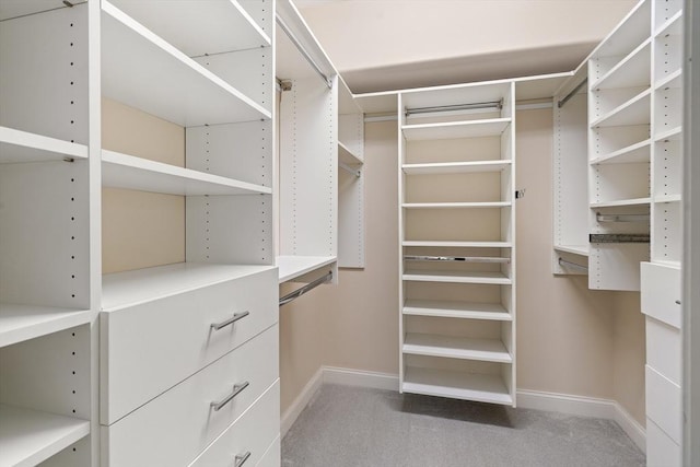 spacious closet featuring carpet