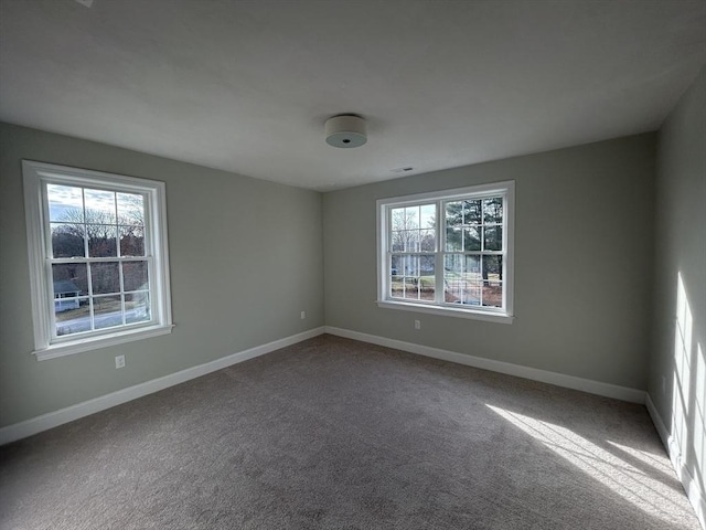 spare room featuring carpet and a healthy amount of sunlight