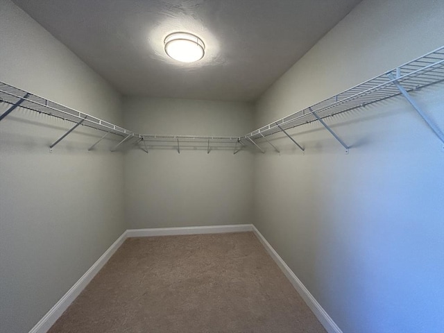 walk in closet with carpet flooring