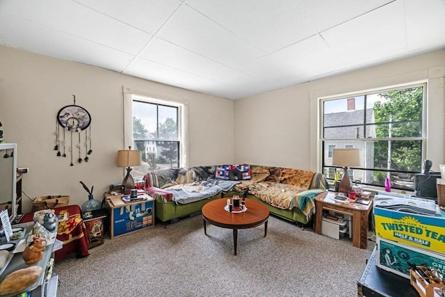 343 Cabot St, Beverly, MA 01915 - view of carpeted living area