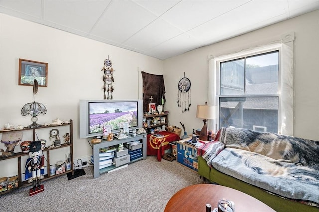 343 Cabot St, Beverly, MA 01915 - view of carpeted living area