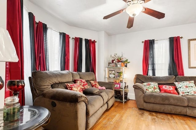 living room featuring plenty of natural light, ceiling fan, and light wood-type flooring