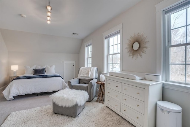 41 Pleasant St, Holliston, MA 01746 - bedroom with light carpet and vaulted ceiling