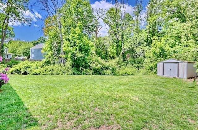 view of yard featuring a storage shed