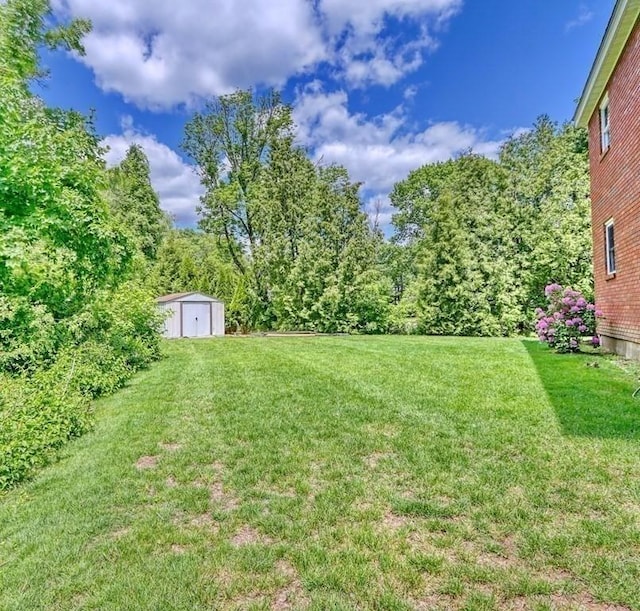 view of yard featuring a storage unit