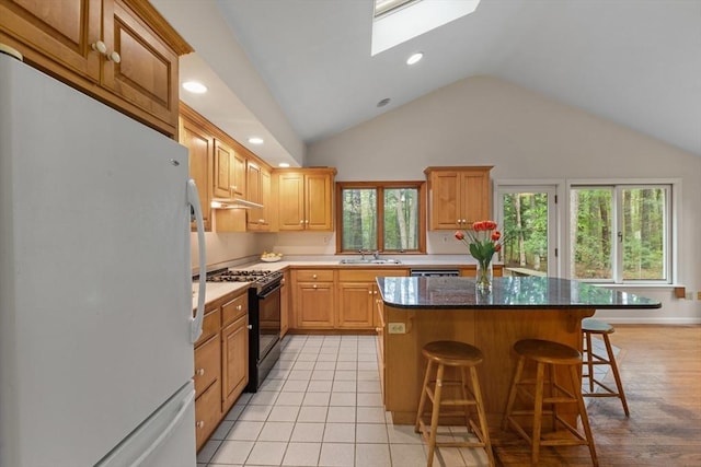 9 Flagg Rd, Acton, MA 01720 - kitchen featuring freestanding refrigerator, black gas range, vaulted ceiling, a skylight, and a sink