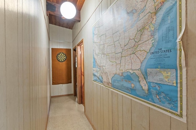 9 Flagg Rd, Acton, MA 01720 - hall with wooden walls and lofted ceiling