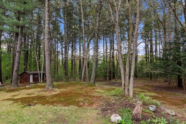9 Flagg Rd, Acton, MA 01720 - view of yard featuring a shed, an outbuilding, and a wooded view