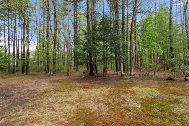 9 Flagg Rd, Acton, MA 01720 - view of tree filled area