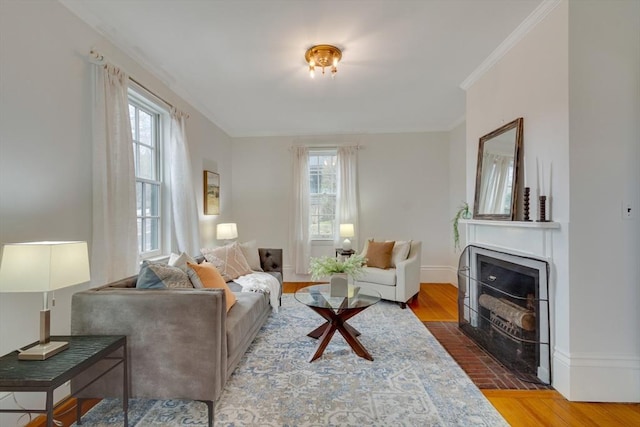 living room with wood-type flooring and crown molding