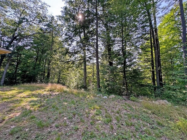 14 Wood Way, Northfield, MA 01360 - view of woods
