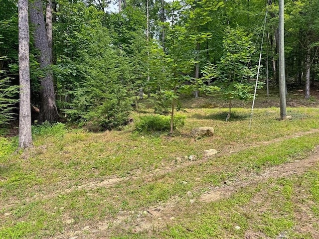 14 Wood Way, Northfield, MA 01360 - view of woods