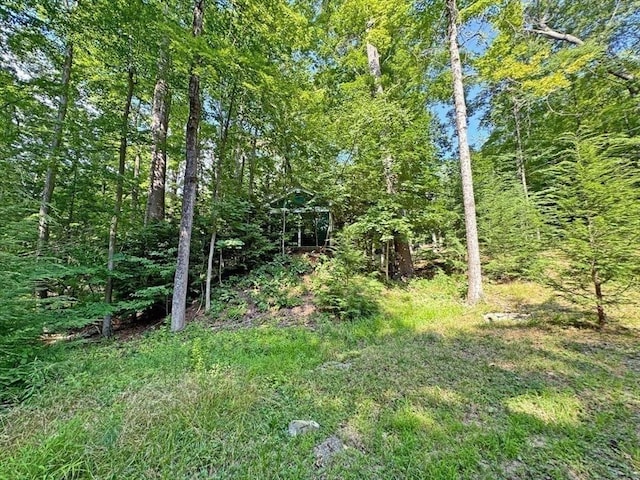 14 Wood Way, Northfield, MA 01360 - view of local wilderness
