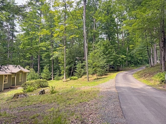 14 Wood Way, Northfield, MA 01360 - view of road featuring a wooded view