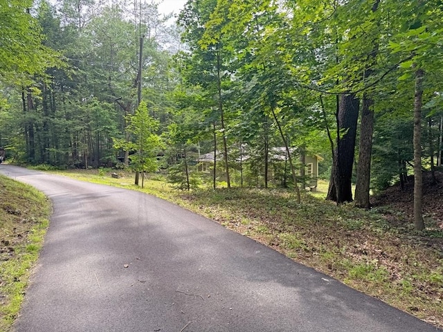 14 Wood Way, Northfield, MA 01360 - view of asphalt road featuring a forest view