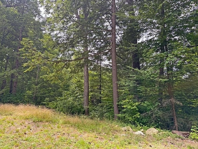 14 Wood Way, Northfield, MA 01360 - view of tree filled area
