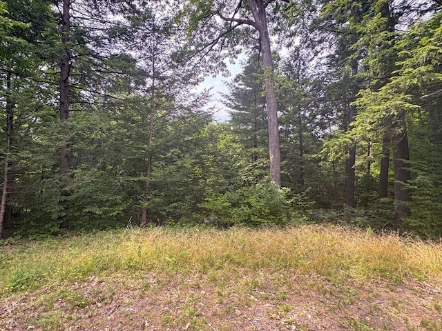 14 Wood Way, Northfield, MA 01360 - view of woods