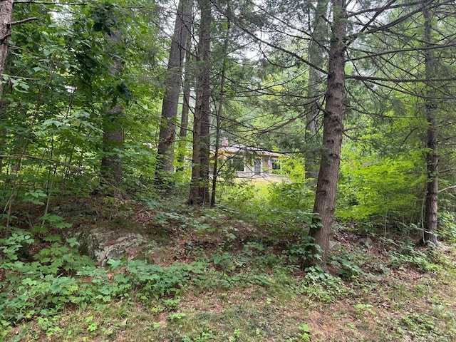 14 Wood Way, Northfield, MA 01360 - view of tree filled area