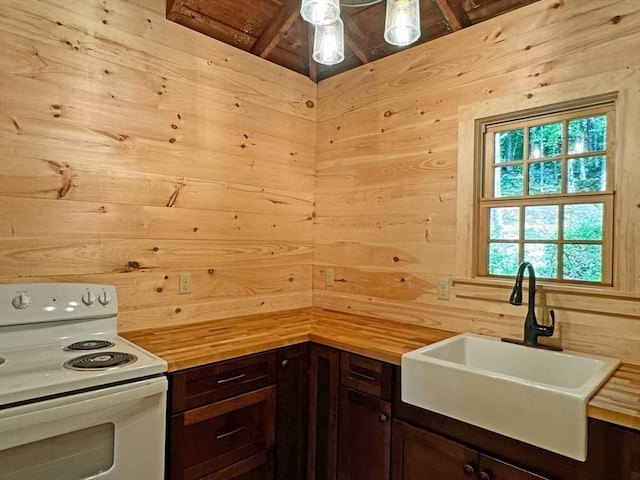 14 Wood Way, Northfield, MA 01360 - kitchen with white range with electric cooktop, butcher block counters, a sink, dark brown cabinetry, and wooden walls