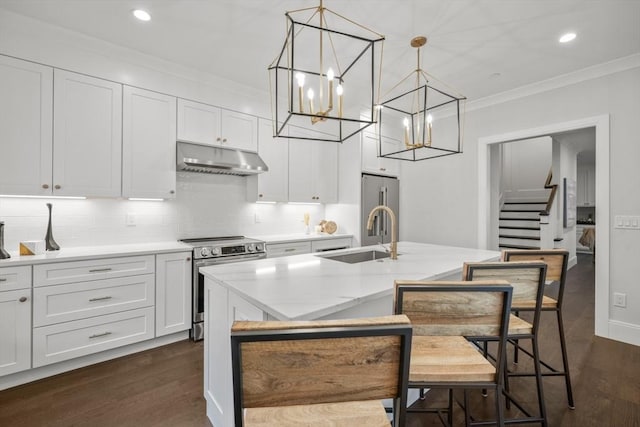 kitchen with ornamental molding, under cabinet range hood, a sink, dark wood finished floors, and appliances with stainless steel finishes