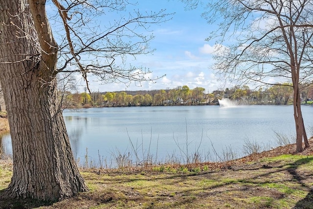 property view of water featuring a view of trees