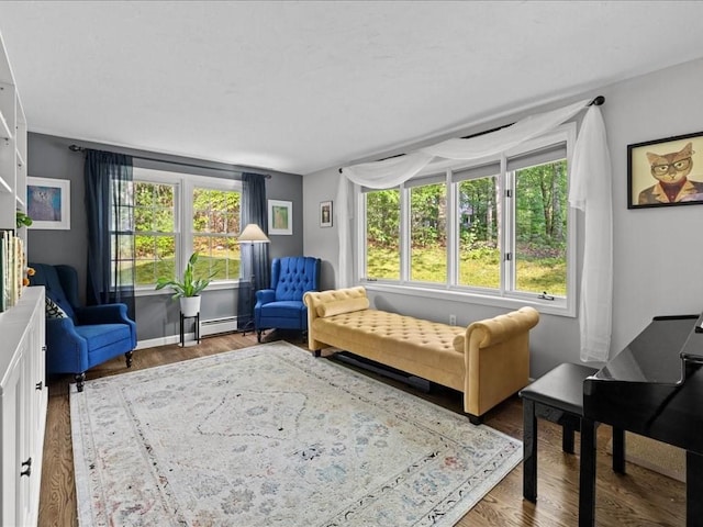235 Stone School Rd, Sutton, MA 01590 - living room featuring plenty of natural light, wood finished floors, and a baseboard radiator