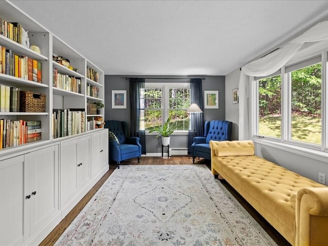 235 Stone School Rd, Sutton, MA 01590 - sitting room with a baseboard heating unit, dark wood-style flooring, and plenty of natural light