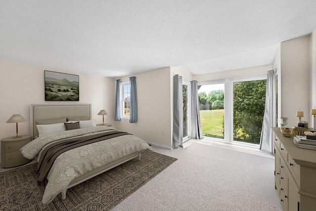 453 Turnpike St Unit 19, Easton, MA 02375 - bedroom with carpet floors and baseboards