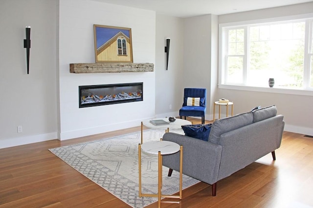 living room with wood-type flooring