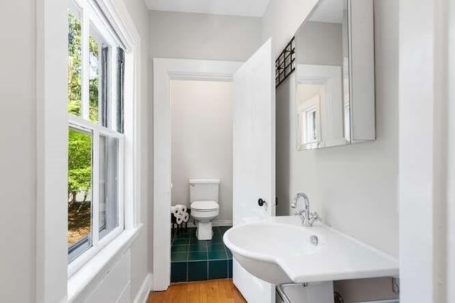 bathroom featuring toilet, a wealth of natural light, and wood finished floors
