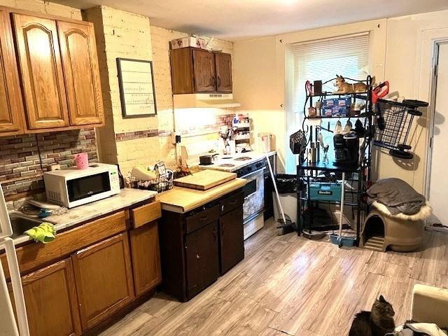 40 Byers St, Springfield, MA 01105 - kitchen featuring white microwave, high quality stove, under cabinet range hood, light countertops, and light wood finished floors