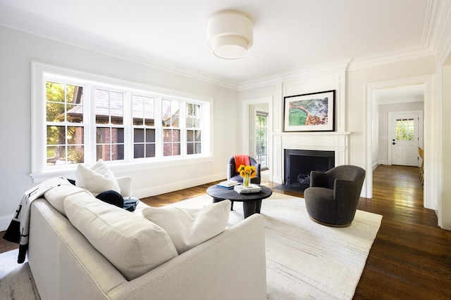 living room featuring ornamental molding and dark hardwood / wood-style floors