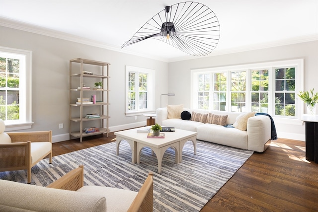 living room featuring dark wood-type flooring and crown molding