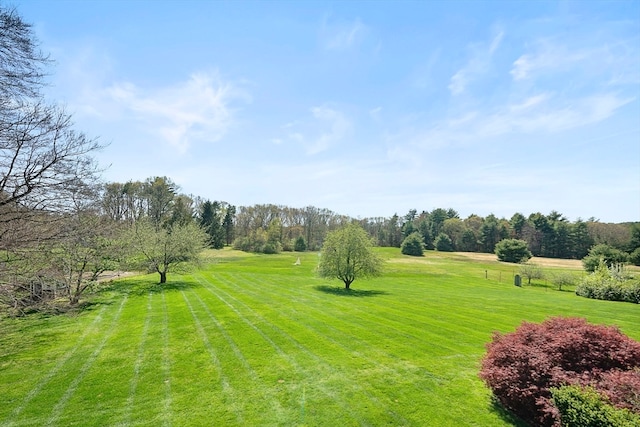 view of yard with a rural view