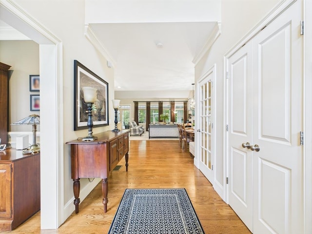 20 Davenport Ln Unit 20, Hopkinton, MA 01748 - corridor featuring crown molding and light wood finished floors
