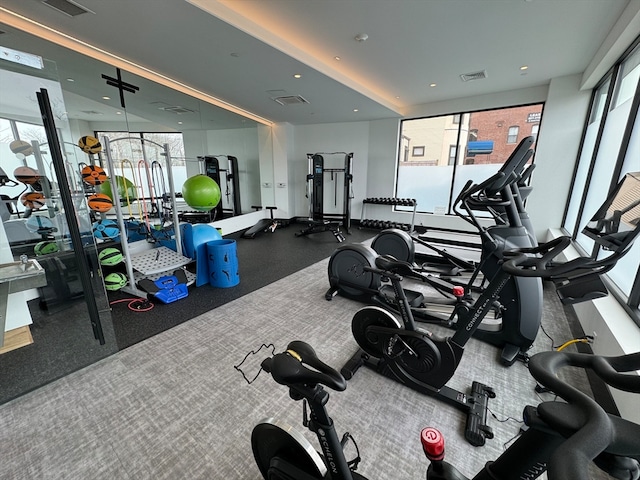 exercise room with a wealth of natural light