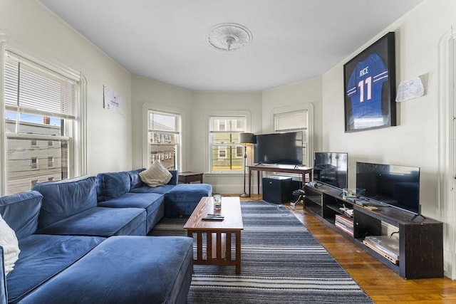 35 Ibbetson, Somerville, MA 02143 - living room featuring wood finished floors
