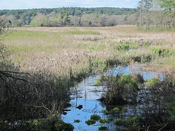 view of nature featuring a water view