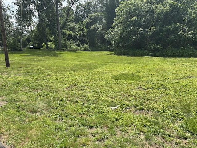 80 Brush Hill Ave Unit 19, West Springfield, MA 01089 - view of green lawn featuring a view of trees