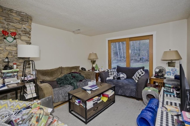 living room featuring a textured ceiling