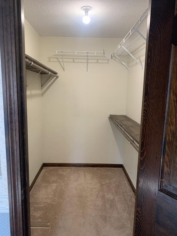 walk in closet featuring carpet