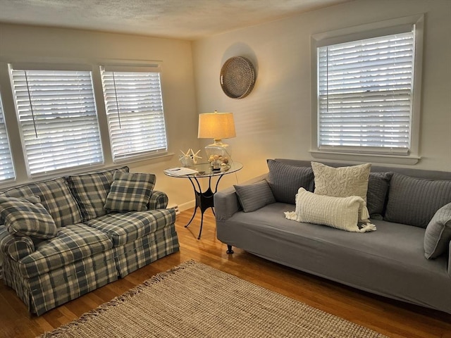 living room with baseboards and wood finished floors