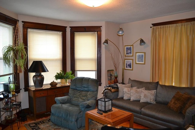 living room featuring wood finished floors