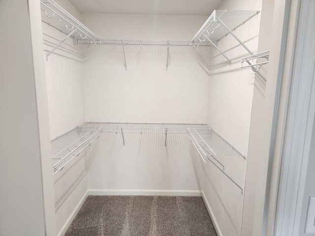 56 Kelly Ln, Lynn, MA 01904 - walk in closet featuring carpet flooring