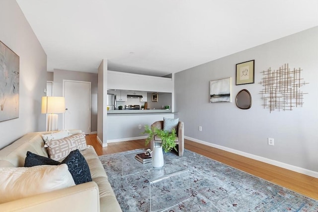 living room with light wood-type flooring