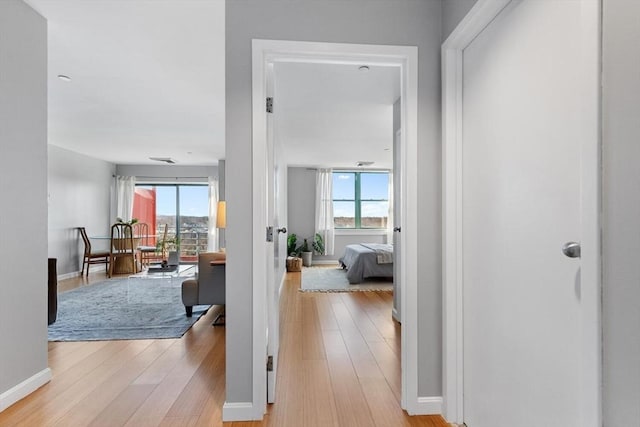 hallway with light wood-type flooring