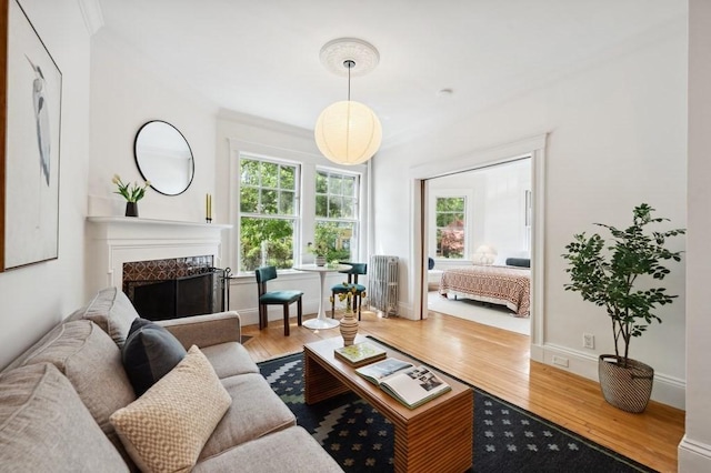 7 Linnaean St Unit 1, Cambridge, MA 02138 - living room featuring wood finished floors, healthy amount of natural light, crown molding, a premium fireplace, and radiator