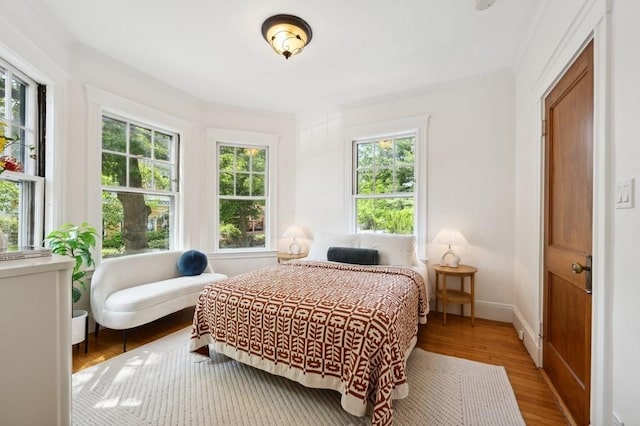 7 Linnaean St Unit 1, Cambridge, MA 02138 - bedroom featuring wood finished floors and baseboards