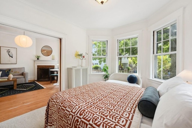 7 Linnaean St Unit 1, Cambridge, MA 02138 - bedroom featuring wood finished floors, crown molding, and a fireplace