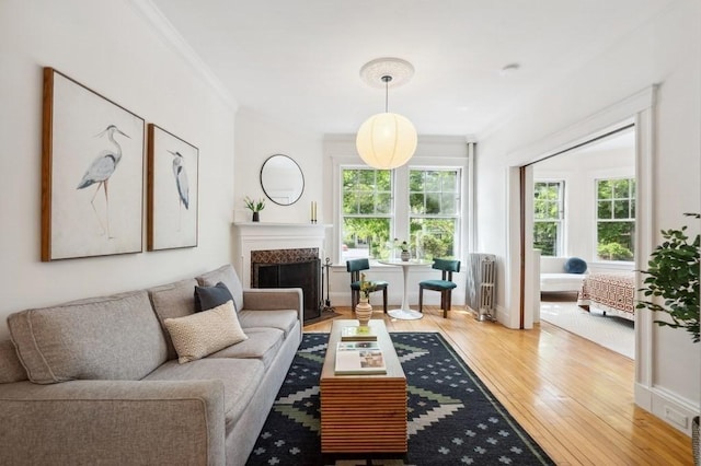 7 Linnaean St Unit 1, Cambridge, MA 02138 - living room with hardwood / wood-style floors, crown molding, radiator, a fireplace with flush hearth, and baseboards